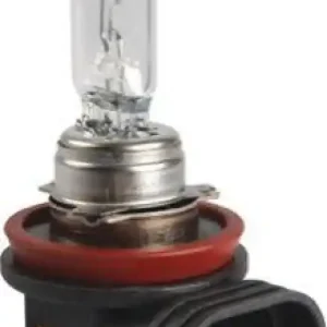 HERTH+BUSS ELPARTS Glühlampe, Abbiegescheinwerfer 89901308 Kostenloser Rückversand