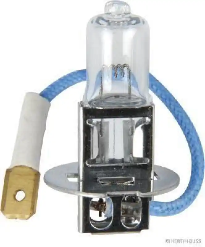 Sonderangebot HERTH+BUSS ELPARTS Glühlampe, Arbeitsscheinwerfer 89901094