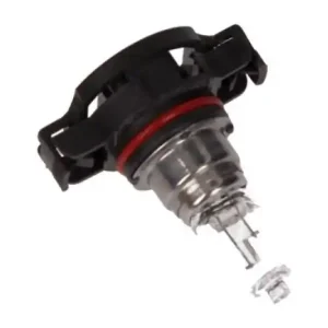 MAXGEAR Glühlampe, Nebelscheinwerfer 78-0127 Sonderangebot