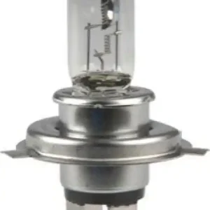 HERTH+BUSS ELPARTS Glühlampe, Fernscheinwerfer 89901101 Must-Have
