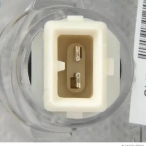 HERTH+BUSS ELPARTS Begrenzungsleuchte 82710363 Nur Für Kurze Zeit