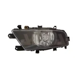 Schneller Versand Nebelscheinwerfer 2931521